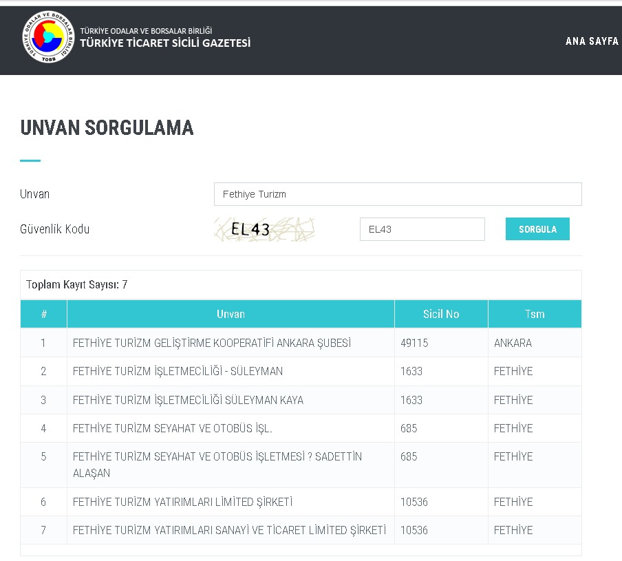 Türkiye Ticaret Sicili Gazetesi - Fethiye Turizm Seyahat Unvan Tescil